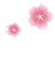 02.gif