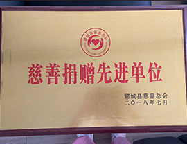 慈善捐贈先進(jìn)單位 鄆城縣慈善總會