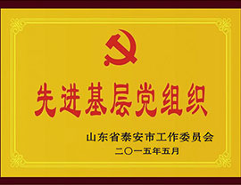公司榮譽(yù)03